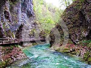 Famous touris destination Blejski Vintgar in Gorenjska, Slovenia photo
