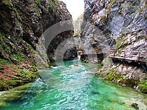 Famous touris destination Blejski Vintgar in Gorenjska, Slovenia photo