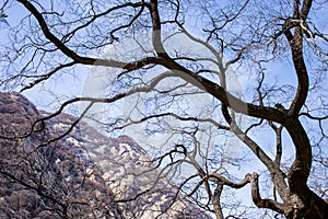 The famous tourist attractions in Shaanxi province Chinese, Huashan mountain.