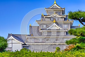 Famous Tourist Destinations in Japan. Renowned Okayama Castle in Koraku En Garden, Japan photo