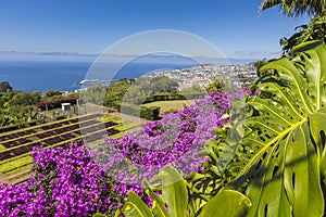 Famous Tropical Botanical Gardens in Funchal town, Madeira island, Portugal