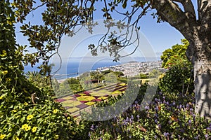 Famous Tropical Botanical Gardens in Funchal town, Madeira island, Portugal