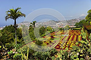 Famous Tropical Botanical Gardens in Funchal photo