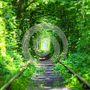 Famous `Tunnel of Love` in Ukraine