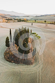Famous Tuscany view of Cipressi San Quirico dOrcia