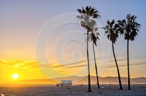 The famous Venice Beach in Los Angeles