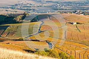 The famous vineyard of Chiroubles at the sunset