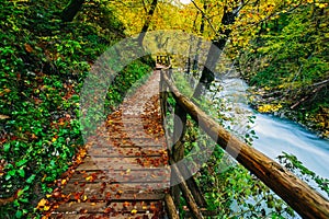 The famous Vintgar Canyon with wooden pats,Bled,Triglav,Slovenia