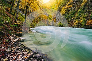 The famous Vintgar gorge Canyon, Bled,Triglav,Slovenia,Europe