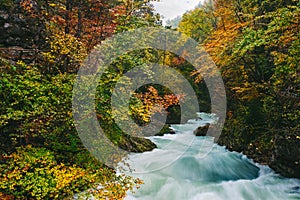 The famous Vintgar gorge Canyon, Bled,Triglav,Slovenia,Europe