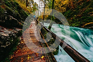 The famous Vintgar gorge Canyon with wooden pats,Bled,Triglav,Slovenia,Europe