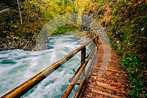 The famous Vintgar gorge Canyon with wooden pats,Bled,Triglav,Slovenia,Europe