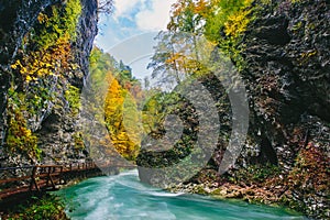 The famous Vintgar gorge Canyon with wooden pats,Bled,Triglav,Slovenia,Europe