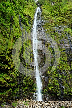 Famous Waimoku Falls waterfall at the head of the Pipiwai Trail, above Seven Sacred Pools on the Road to Hana. Maui, Hawaii.