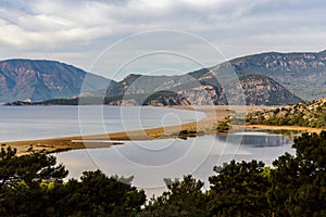 Famous water turtle spawning area shore iztuzu beach