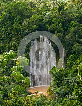 Famous waterfall in forest after tropical rain. Samana. photo