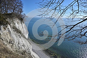 Famous white cliffs Rugen