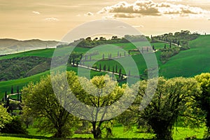 The Famous Winding Road With Cypresses In Val D` Orcia