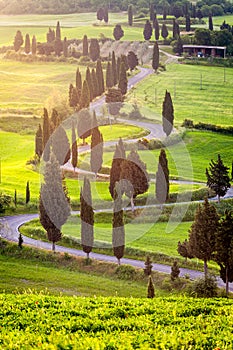 Famous winding road near Monticchiello in Tuscany, Italy