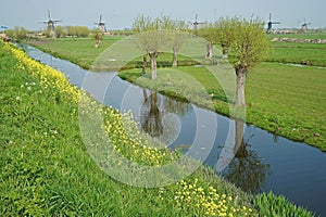 The famous windmills of Kinderdijk on the background of the polder