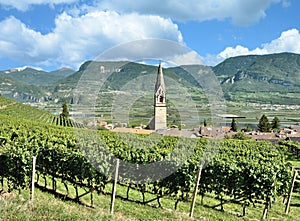 Famous Wine Village of Tramin,South Tirol,Italy