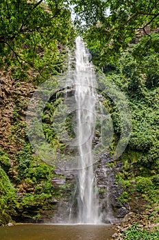 The famous Wli water falls, the highest waterfall in West Africa, surrounded by lush tropical forest, Ghana photo