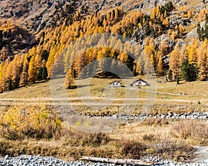 The famouse Roseg Valley in the golden autumn season photo