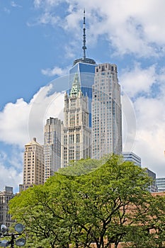 Famus skyscrapers of Manhattan, New York towering above a tree