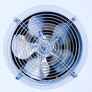 Fan