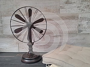 Fan