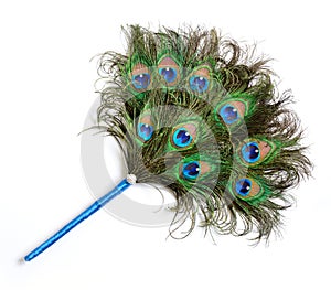 Peacock feather fan photo