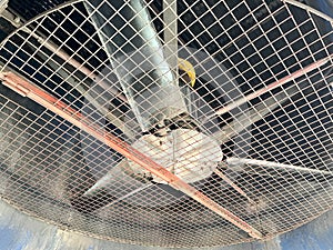 Fan blades of the air cooling unit. Air cooling apparatus â€” equipment that is used for cooling or condensing gas