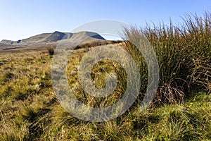 Fan Brycheiniog  Brecon Beacons National Park