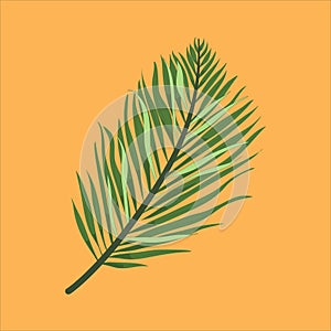 fan palm leaf vector illustration plant floral eps file Vintage vector botanical illustration