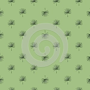 Fan palm leaves seamless pattern.Vintage tropical branch in engraving style