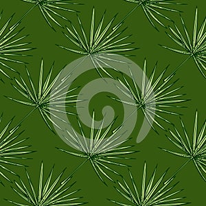 Fan palm leaves seamless pattern.Vintage tropical branch in engraving style
