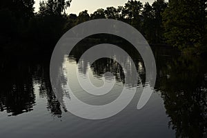 Fan on pond in park. Forest reflection in water. Lake after sunset