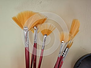 Fan shaped brush photo