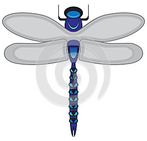 Fanciful Stylized Dragonfly