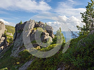 Fancy ancient stones and young cedars in the Ergaki Natural Park