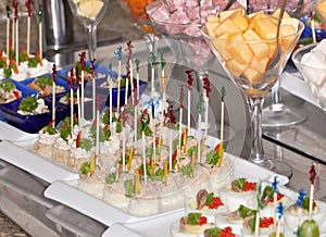 Fancy Appetizers and h'orderves