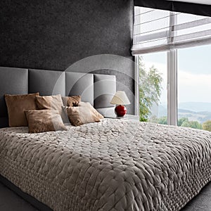 Fancy bedroom with window wall