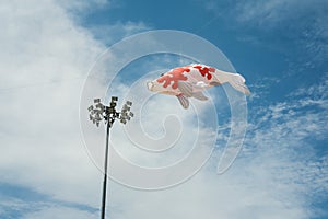 Fancy carp fish shaped kite flying in blue cloudy sky