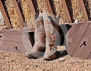 Fancy cowboy boots with belt