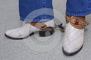 Fancy Cowboy in Spurs photo