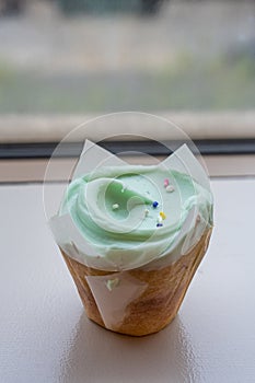 fancy cupcake, green frosting over vanilla cupcake