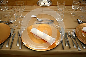 Fancy dinner set