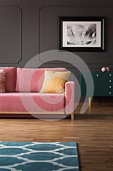 Fancy dresser with golden elements and a velvet pink sofa on hardwood floor in a vintage living room interior with gray walls. Rea