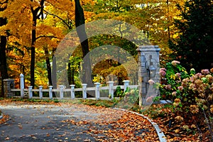 Fall Driveway