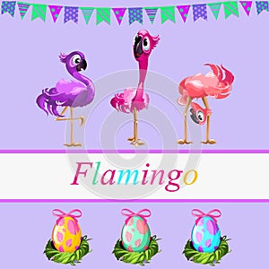 Fancy flamingos and colorful gift eggs